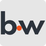 Brand Wise Favicon